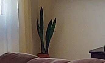 Imagem 4: APARTAMENTO A VENDA NO CONDOMÍNIO PARQUE DOS PÁSSAROS EM VALINHOS SP