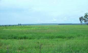 Imagem 6: Fazenda em Minas Gerais-2.200 Hac com pista de pouso e 17 km de rio dentro da mesma -Euric