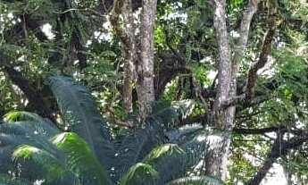 Imagem 2: Chácara no Bairro São Bento do Recreio em Valinhos -SP , com 10.870,15 M², com algumas re