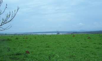 Imagem 3: Fazenda em Minas Gerais-2.200 Hac com pista de pouso e 17 km de rio dentro da mesma -Euric