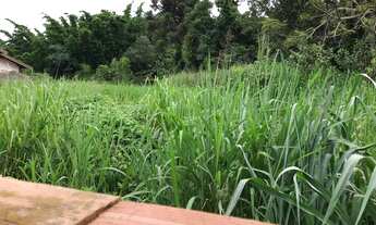 Imagem 5: Terreno de 480 metros no Colina dos Pinheiros