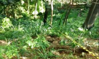 Imagem 2: Terreno declive á venda em condomínio fechado e rodeado de exuberante mata de preservação