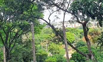 Imagem 7: ÓTIMO TERRENO A VENDA LOCALIZADO NO BAIRRO ORTIZES EM VALINHOS-SP