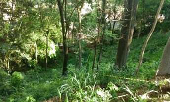 Imagem 3: Terreno declive á venda em condomínio fechado e rodeado de exuberante mata de preservação