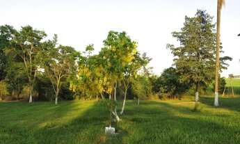 Imagem: Chácara à venda no Centro de São Carlos-SP