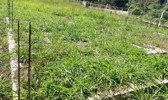 Imagem: Vendo Terreno em Mateus Leme