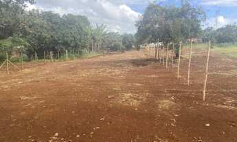 Imagem 5: Vendo Lote em Mateus Leme