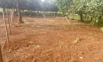 Imagem 6: Vendo Lote em Mateus Leme