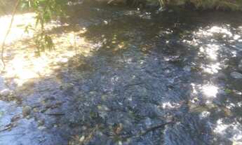 Imagem 5: Vendo Chácara em Jaboticatubas