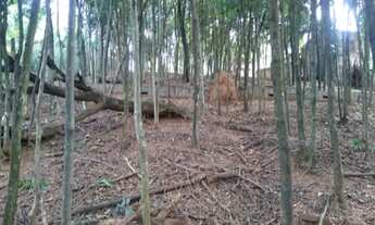 Imagem 2: Vendo Terreno em Contagem