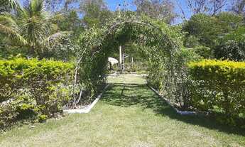 Imagem 4: Excelente Sitio em Itatiaiuçu