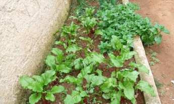 Imagem 6: Vendo Casa em Contagem