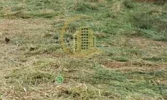 Imagem: TERRENO RESIDENCIAL em SÃO JOSÉ DO RIO