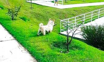 Imagem 7: RRCOD3843 Terreno 360m² CONDOMÍNIO RESERVA SANTA ANNA - OPORTUNIDADE - Santana de Parnaíba