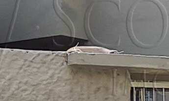 Imagem 4: CASA RESIDENCIAL em SÃO PAULO - SP, INTERLAGOS