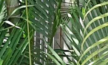 Imagem 5: CASA RESIDENCIAL em SÃO PAULO - SP, INTERLAGOS