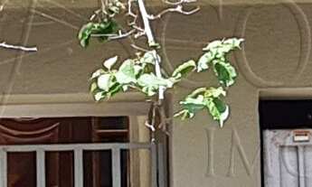 Imagem 3: CASA RESIDENCIAL em SÃO PAULO - SP, INTERLAGOS