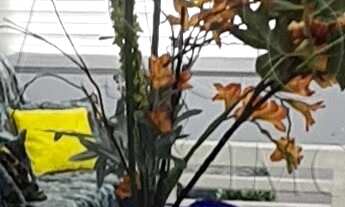 Imagem 7: CASA RESIDENCIAL em SÃO PAULO - SP, JARDIM PRUDÊNCIA