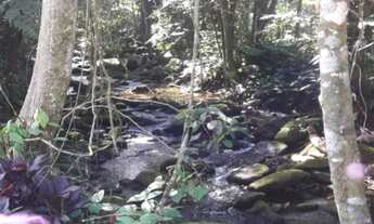 Imagem 4: TERRENO EM AREA DE CHÁCARA , MONGAGUÁ , BAIRRO AGENOR DE CAMPOS , COM CACHOEIRA NA FRENTE