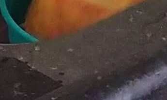 Imagem 2: Apartamento em Sao Paulo / Zona sul / Região do Grajaú / Jardim maria Amália / a 5 minuto