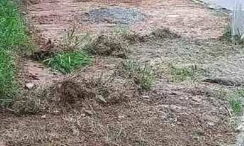 Imagem 4: Lote em Caieiras / Serpa / Ótimo local / 10 minutos da estação caieiras / Rua calçada, Sab