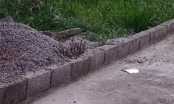 Imagem 3: Lote em Caieiras / Serpa / Ótimo local / 10 minutos da estação caieiras / Rua calçada, Sab