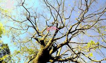 Imagem 4: Venda e locação de Imóveis em Cabreúva