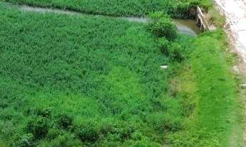 Imagem 7: Condomínio Quinta das Seringueiras - Castanhal-PA, Bairro Pirapora - 250m² de Área Total