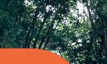 Imagem 5: Condomínio Quinta das Seringueiras - Castanhal-PA, Bairro Pirapora - 250m² de Área Total