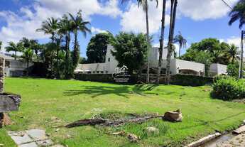 Imagem 3: 1000M² de Área Total