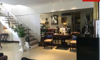 Imagem 5: Cobertura no Corredor da Vitória, Mansão Lino Cervino - Área Imobiliária