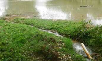 Imagem 7: SÍTIO RESIDENCIAL À VENDA, RURAL, MARÍLIA -