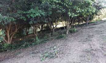 Imagem 2: LINDA CHACARA EM TERRAS DE VERA CRUZ