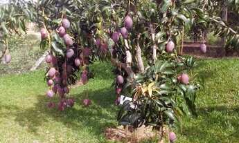 Imagem 5: LINDA CHACARA EM TERRAS DE VERA CRUZ