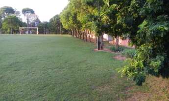 Imagem 5: Linda chácara em Padre Nóbrega-Marilia