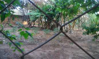 Imagem 6: Linda chácara em Padre Nóbrega-Marilia