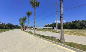 Imagem 5: Lotes prontos para construir no módulo 11 da Riviera de São Lourenço SP