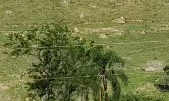Imagem: TERRENO RESIDENCIAL em JACAREÍ - SP, RIO