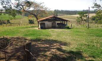 Imagem: Excelente Fazenda de Cana em Piracicaba