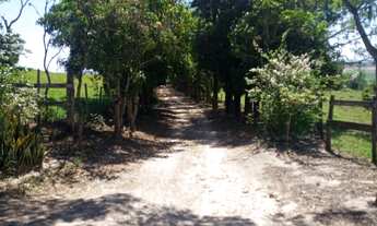 Imagem: Excelente Fazenda de Cana em Piracicaba