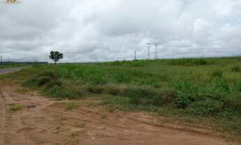 Imagem: Fazenda em nova Maringá MT