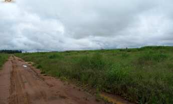 Imagem 5: Fazenda em nova Maringá MT