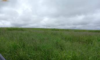 Imagem 3: Fazenda em nova Maringá MT