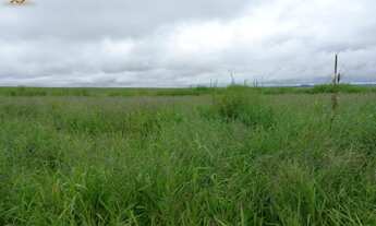 Imagem 2: Fazenda em nova Maringá MT