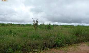 Imagem 4: Fazenda em nova Maringá MT