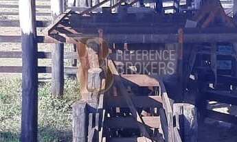 Imagem: FAZENDA AS MARGENS DO RIO SEPOTUBA - MT