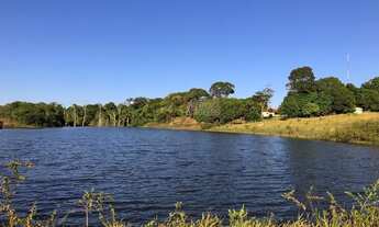 Imagem 2: Fazenda dupla aptidão em Canarana MT