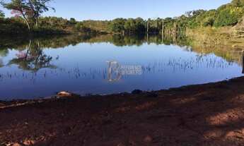 Imagem 5: Fazenda dupla aptidão em Canarana MT