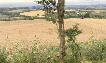 Imagem: Fazenda para agricultura, 242 hectares