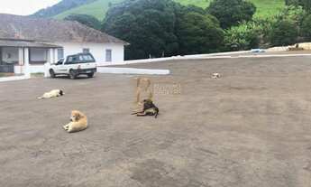 Imagem 4: Fazenda em Dom Viçoso, Minas Gerais